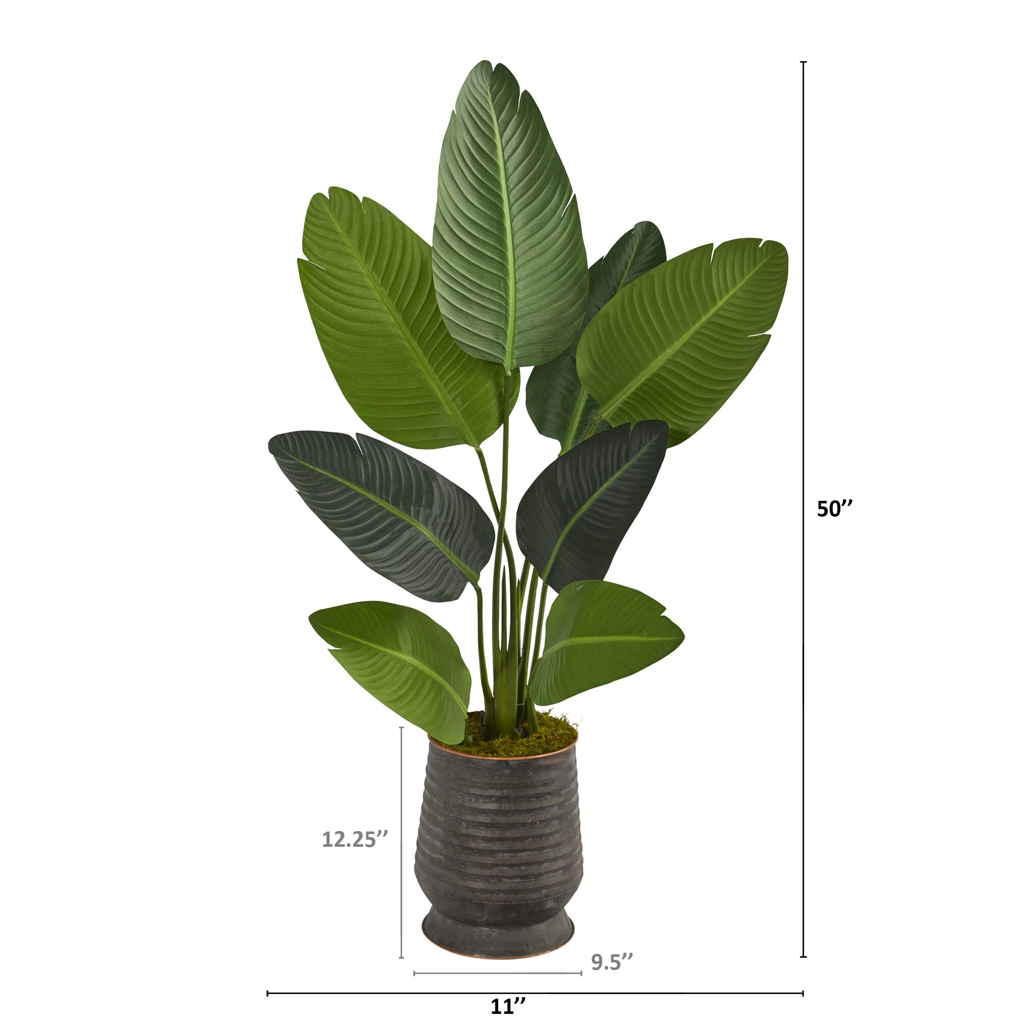 4ft. Travelers Palm Tree in Metal Planter